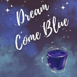 We're always looking for ways to get better sleep, and we've been known to sip the occasional sleepy time tea. But we just weren't satisfied with most of the bed time blends we've tried, so we decided to make our own! Our new sleep supporting herbal tea is finally here! Dream Come Blue has an intoxicating floral flavor, gorgeous deep blue color, and 6 different adaptogens and functional ingredients to help you fall asleep, stay asleep, and wake up refreshed and revived. 