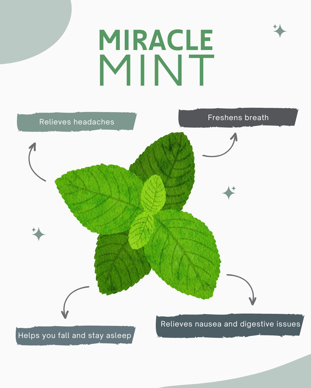 Mint is pretty miraculous. From vitamins and minerals to anti inflammatory properties, mint tea can be effective in treating tons of ailments.