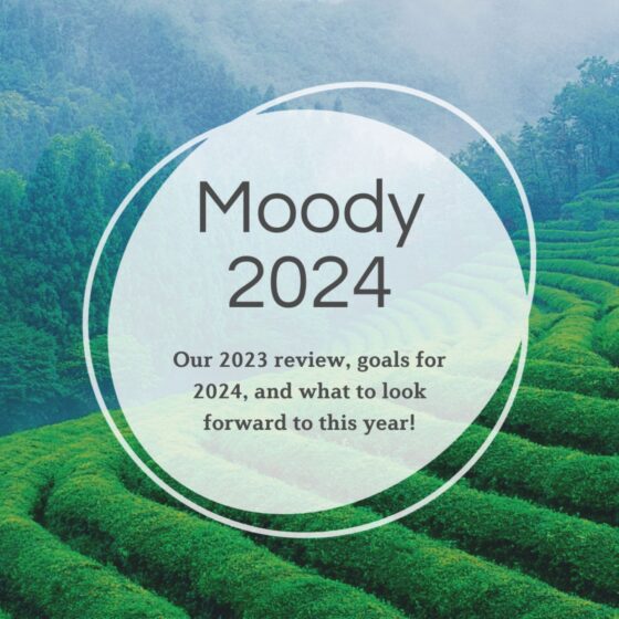 Moody Teas 2024: 2023 recap, 2024 goals, and what to look forward to from Moody Teas in the new year!