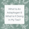 Adaptogen is definitely a buzzword lately, but what is an adaptogen, and what do they actually do? Today we'll be exploring the fascinating world of adaptogens and medicinal herbs and how they can affect your mood through tea consumption. 