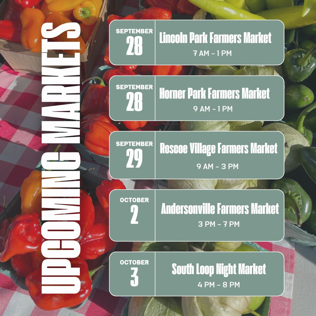 A colorful background of red, orange, and green peppers is overlaid with a schedule of upcoming farmers markets. The heading reads 'Upcoming Markets' vertically in bold white text on the left side. The schedule is displayed in green boxes with white text, listing the following: September 28: Lincoln Park Farmers Market, 7 AM - 1 PM September 28: Horner Park Farmers Market, 9 AM - 1 PM September 29: Roscoe Village Farmers Market, 9 AM - 3 PM October 2: Andersonville Farmers Market, 3 PM - 7 PM October 3: South Loop Night Market, 4 PM - 8 PM.