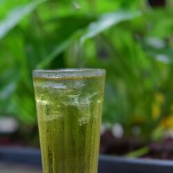 A glass of pale iced green tea with condensation, set against a leafy green background