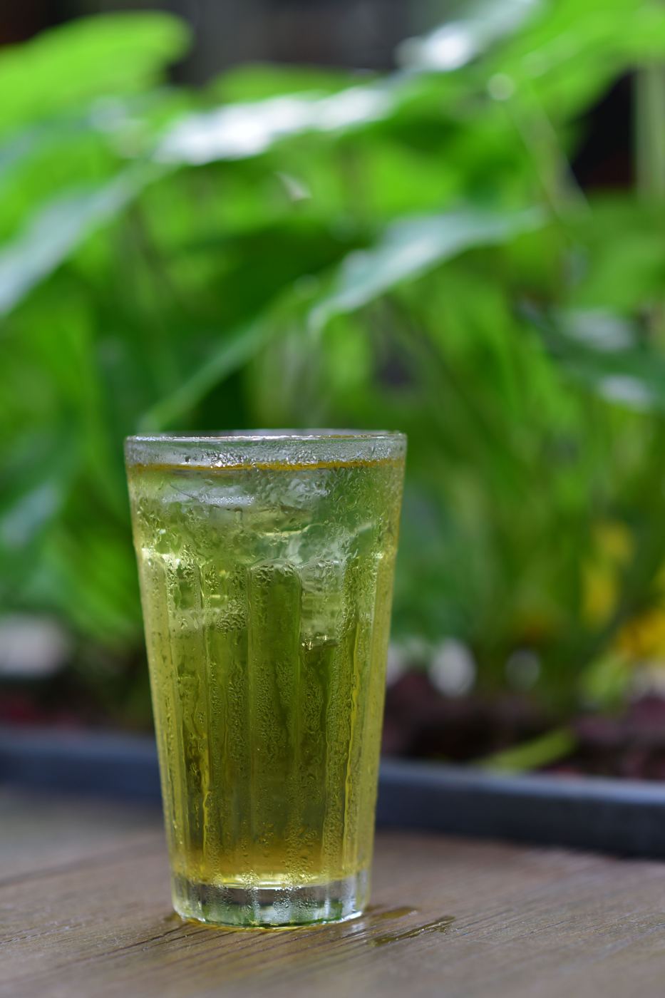 A glass of pale iced green tea with condensation, set against a leafy green background