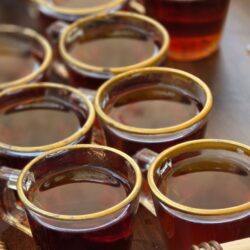 Uniform glass cups of brewed tea arranged in rows for side-by-side tasting evaluation
