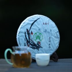 Compressed Chinese pu-erh tea cake labeled sheng cha beside a cup of brewed dark tea