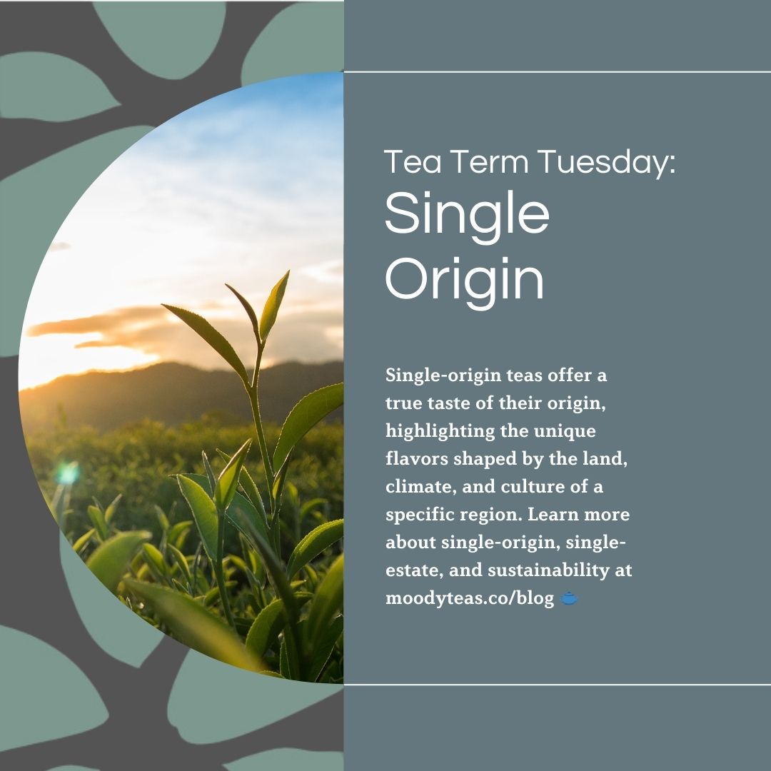 A graphic for "Tea Term Tuesday" featuring the term "Single Origin." The image shows a vibrant tea plant in the foreground with sunlight illuminating rolling hills in the background, symbolizing the connection between tea and its origin. The text explains that single-origin teas offer a true taste of their region, shaped by the land, climate, and culture, with a call to learn more at moodyteas.co/blog