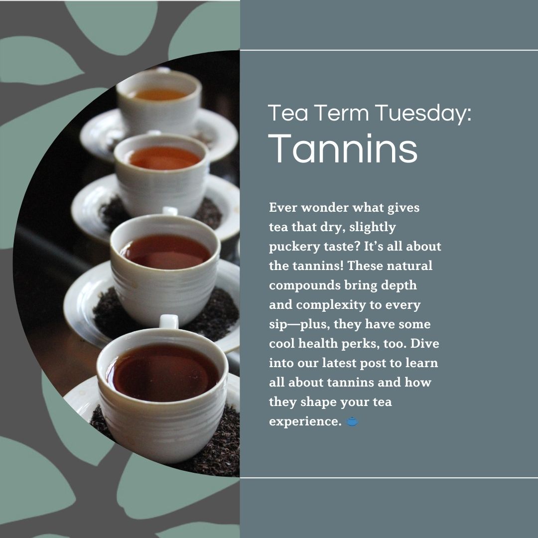 "Tea Term Tuesday: Tannins" — An image of four white cups filled with tea, arranged in a line on saucers with loose tea leaves beneath each cup. Beside the cups, text reads: "Ever wonder what gives tea that dry, slightly puckery taste? It’s all about the tannins! These natural compounds bring depth and complexity to every sip—plus, they have some cool health perks, too. Dive into our latest post to learn all about tannins and how they shape your tea experience."