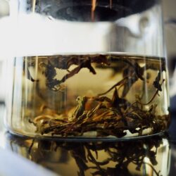 Loose leaf tea steeping in a glass teapot, leaves unfurling in hot water