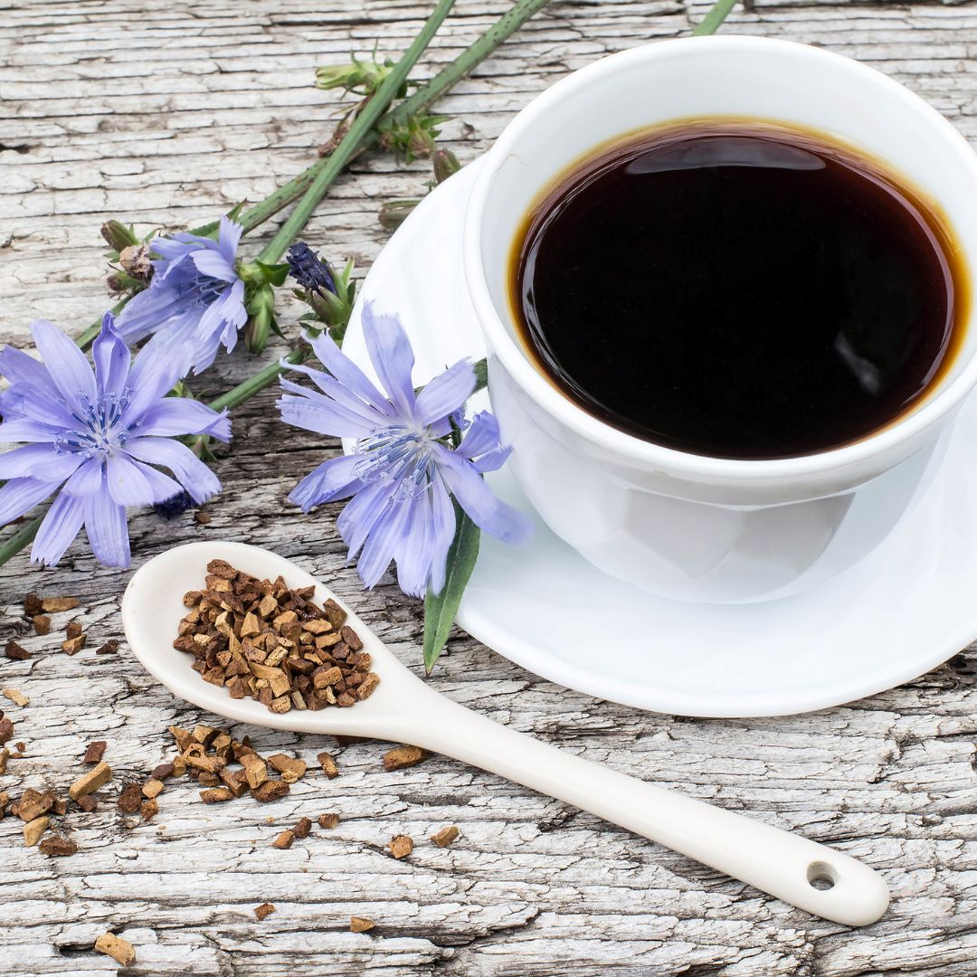 A cup of chicory coffee with blue chicory flowers and roasted chicory roots, illustrating its earthy flavor and coffee-like appearance.