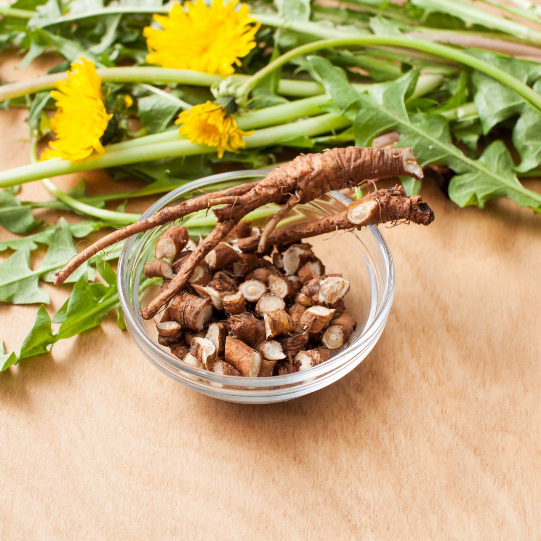 Fresh dandelion roots in a glass bowl surrounded by dandelion greens and flowers, emphasizing their herbal benefits and use in wellness teas.