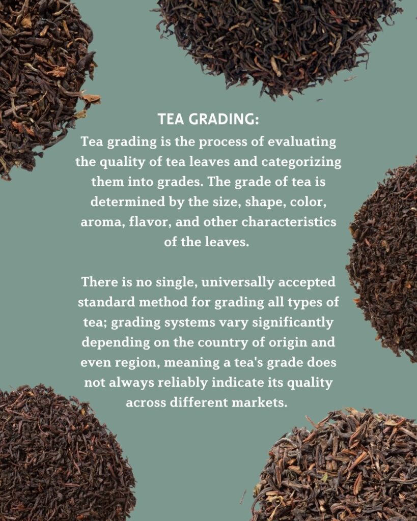 An educational graphic explaining tea grading, detailing how tea leaves are categorized by size, shape, and quality, with variations across countries and types of tea.