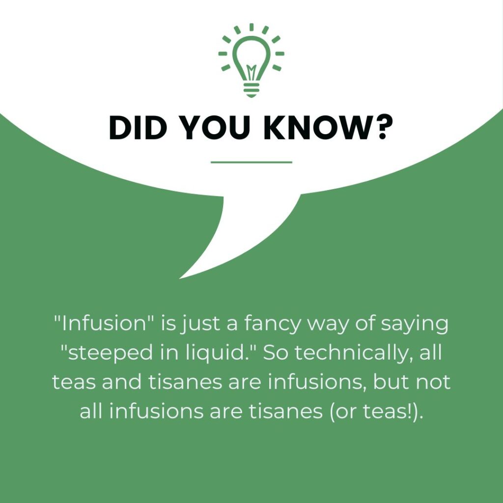 A green background with a white speech bubble containing a lightbulb icon at the top. The text inside reads: "Did You Know? 'Infusion' is just a fancy way of saying 'steeped in liquid.' So technically, all teas and tisanes are infusions, but not all infusions are tisanes (or teas!)."