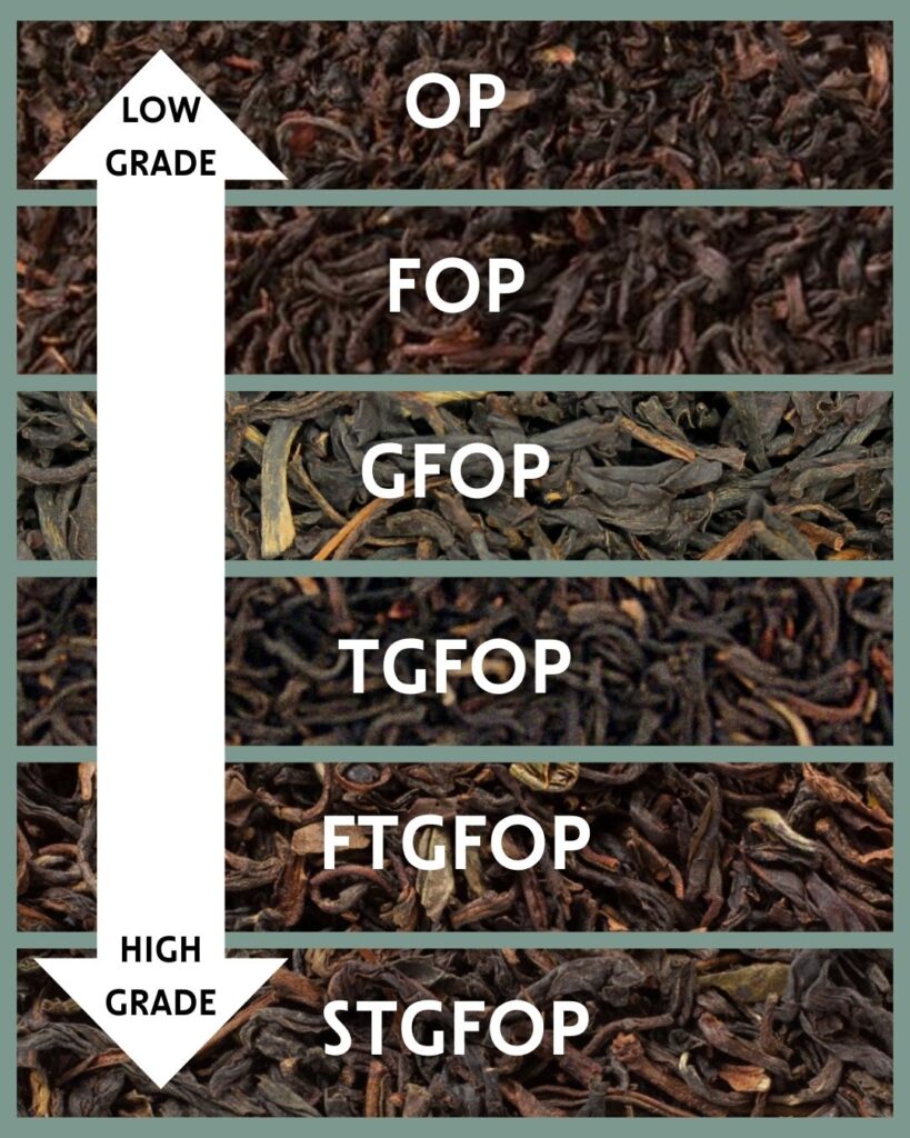 A vertical chart visually comparing tea grades, from low-grade Orange Pekoe (OP) to high-grade Special Tippy Golden Flowery Orange Pekoe (STGFOP), highlighting the increasing quality.