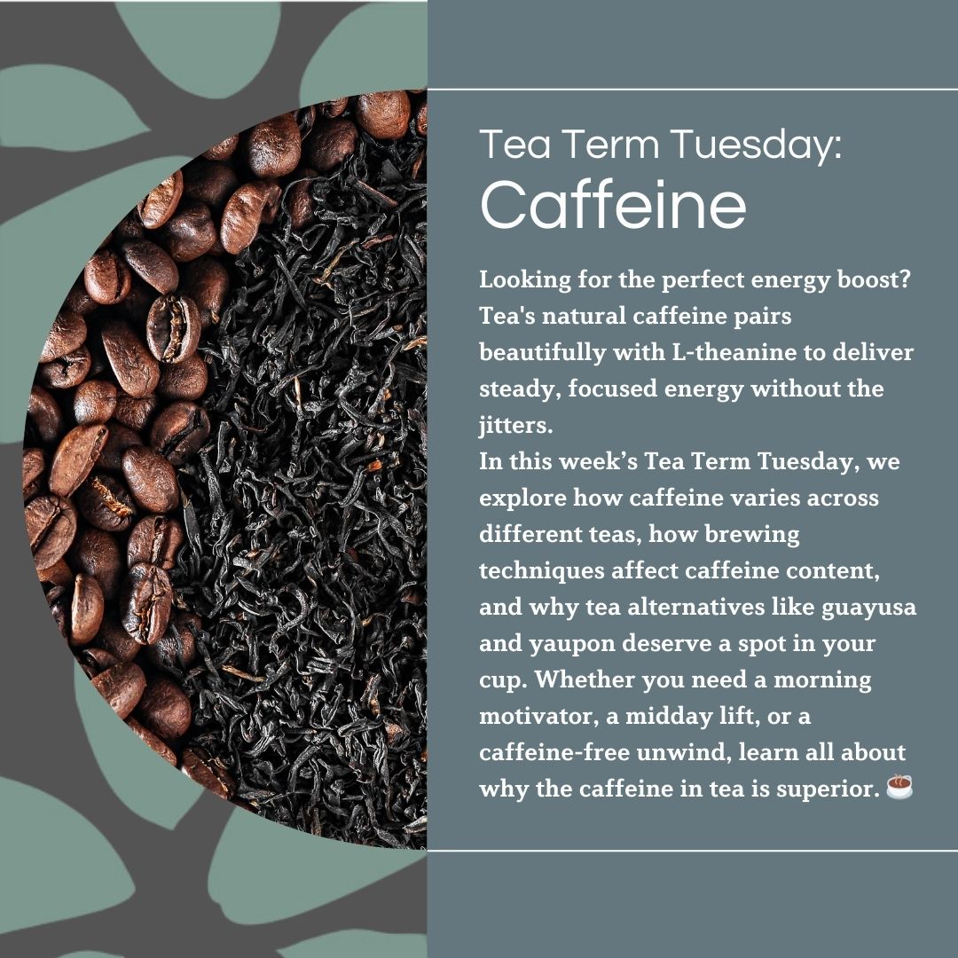 A promotional graphic for a Tea Term Tuesday blog post about caffeine. The background features an artistic blend of coffee beans and loose-leaf black tea. The text highlights the benefits of tea’s natural caffeine paired with L-theanine, which provides steady, focused energy without jitters. It teases the exploration of caffeine variations across teas, brewing techniques, and alternatives like guayusa and yaupon.