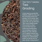 Tea Term Tuesday graphic on tea grading, explaining grading history, systems & how grades impact tea quality & flavor.