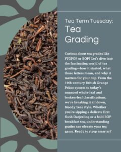 Tea Term Tuesday graphic on tea grading, explaining grading history, systems & how grades impact tea quality & flavor.