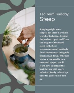 Graphic of person stirring loose leaf tea, with text explaining the meaning and importance of steeping.