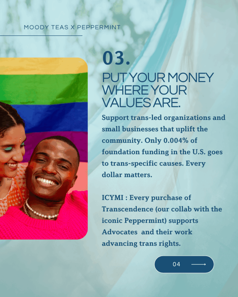 Text: “03. Put your money where your values are.” Explains importance of funding trans-led causes and notes Moody Teas’ donation through Transcendence. Image shows a smiling couple, one in a bright pink sweater and one with orange sleeves, in front of a rainbow flag.