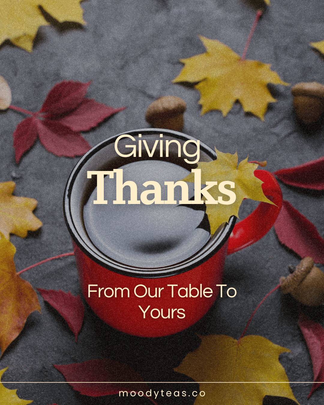 A warm-toned image featuring a red mug of tea placed on a dark textured surface, surrounded by scattered autumn leaves and acorns. The text on the image reads, “Giving Thanks — From Our Table To Yours,” with “moodyteas.co” centered at the bottom.