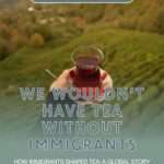 A hand holding a glass of tea on a saucer overlooking green hills, with editorial text reading “We wouldn’t have tea without immigrants,” a “Latest Blog” label, and the subheading “How immigrants shaped tea: a global story of immigrants, culture, and identity,” for a long-form blog post about tea history, immigration, and global tea culture.