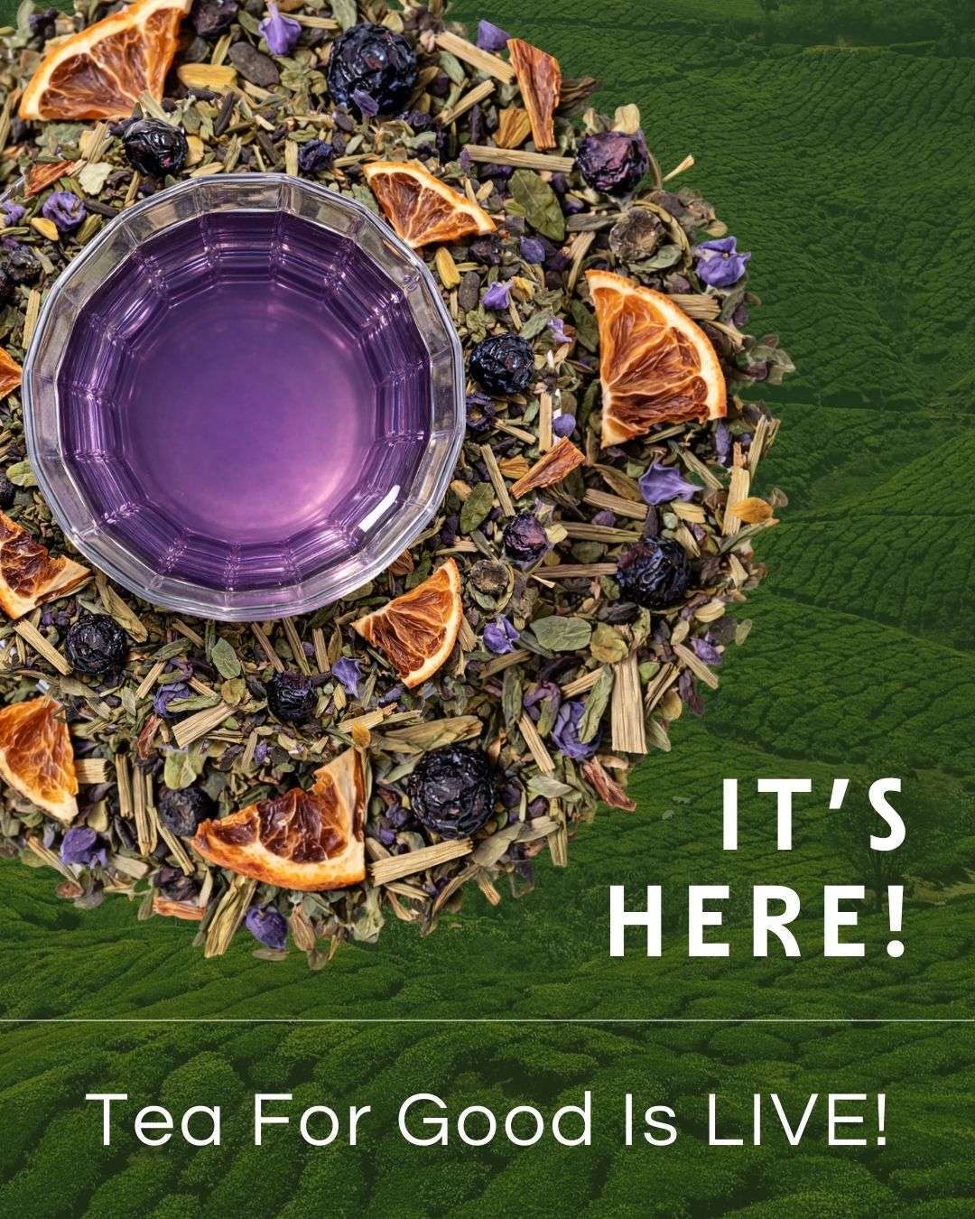 Overhead image of a purple herbal tea in a glass cup surrounded by loose leaf tea ingredients including dried citrus slices, blueberries, and herbs, with text reading “Tea For Good Is Live.”